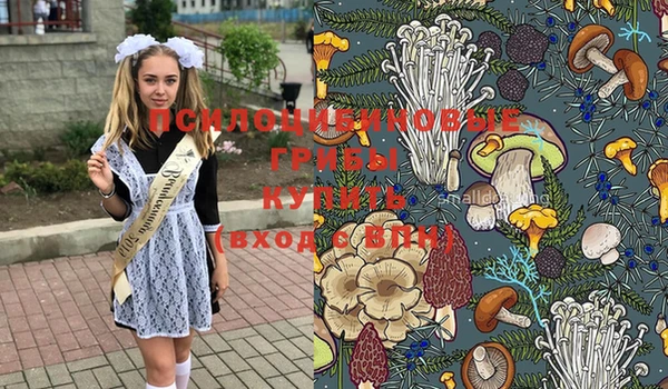 гидропоника Аркадак
