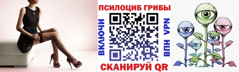 Галлюциногенные грибы Psilocybe  дарнет шоп  Малоярославец 